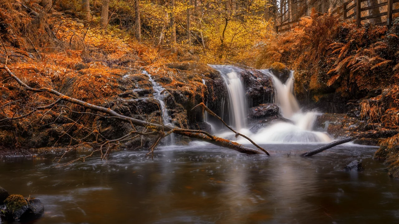 пейзаж, природа, красота