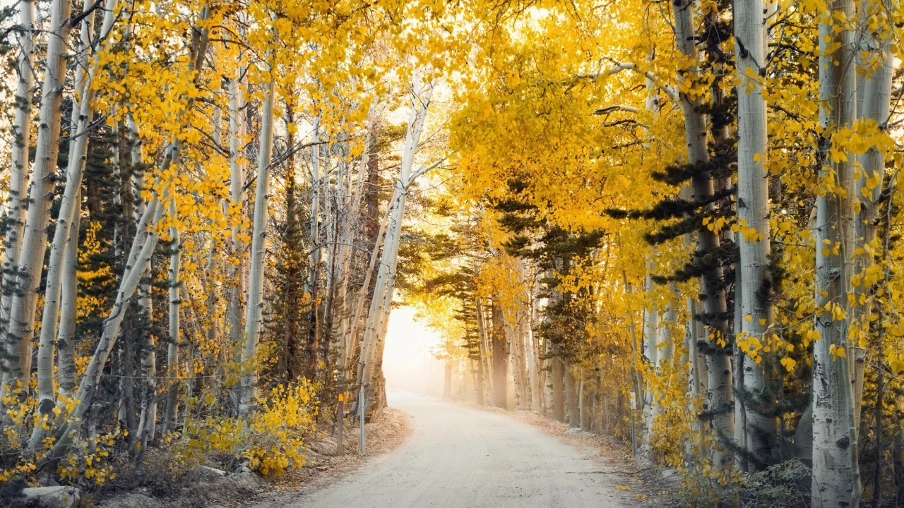 пейзаж, природа, красота