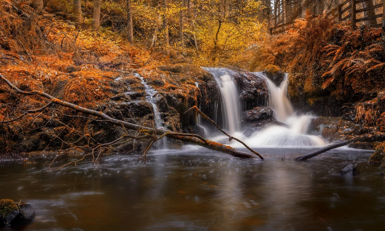 пейзаж, природа, красота
