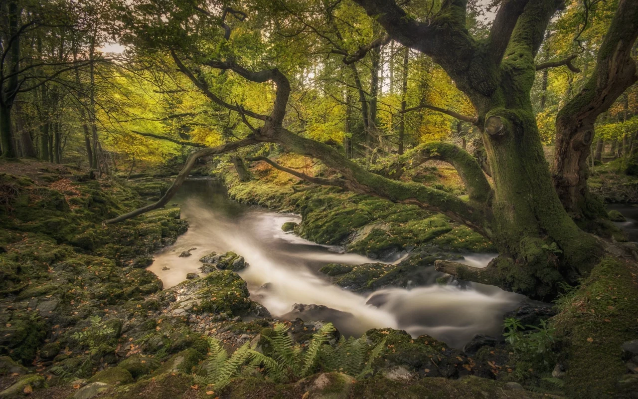 пейзаж, природа, красота