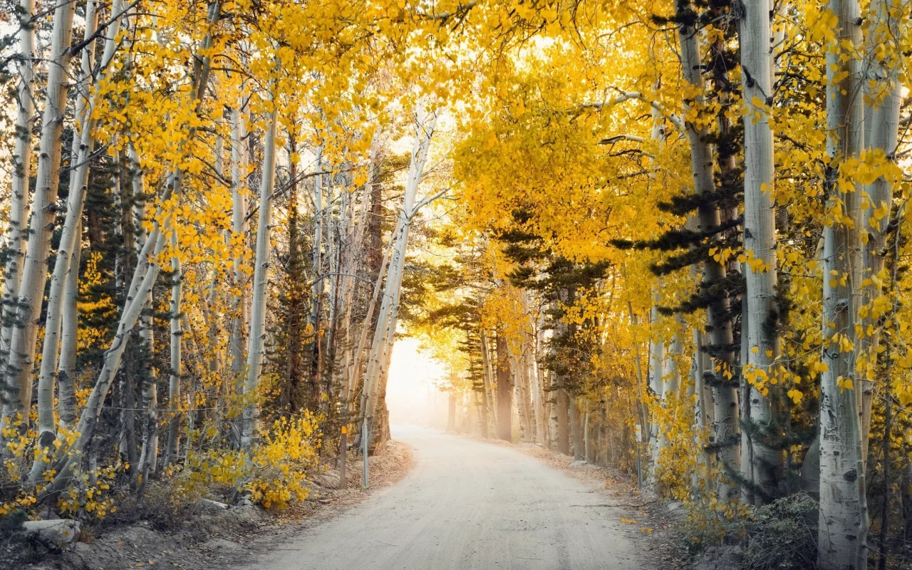 пейзаж, природа, красота