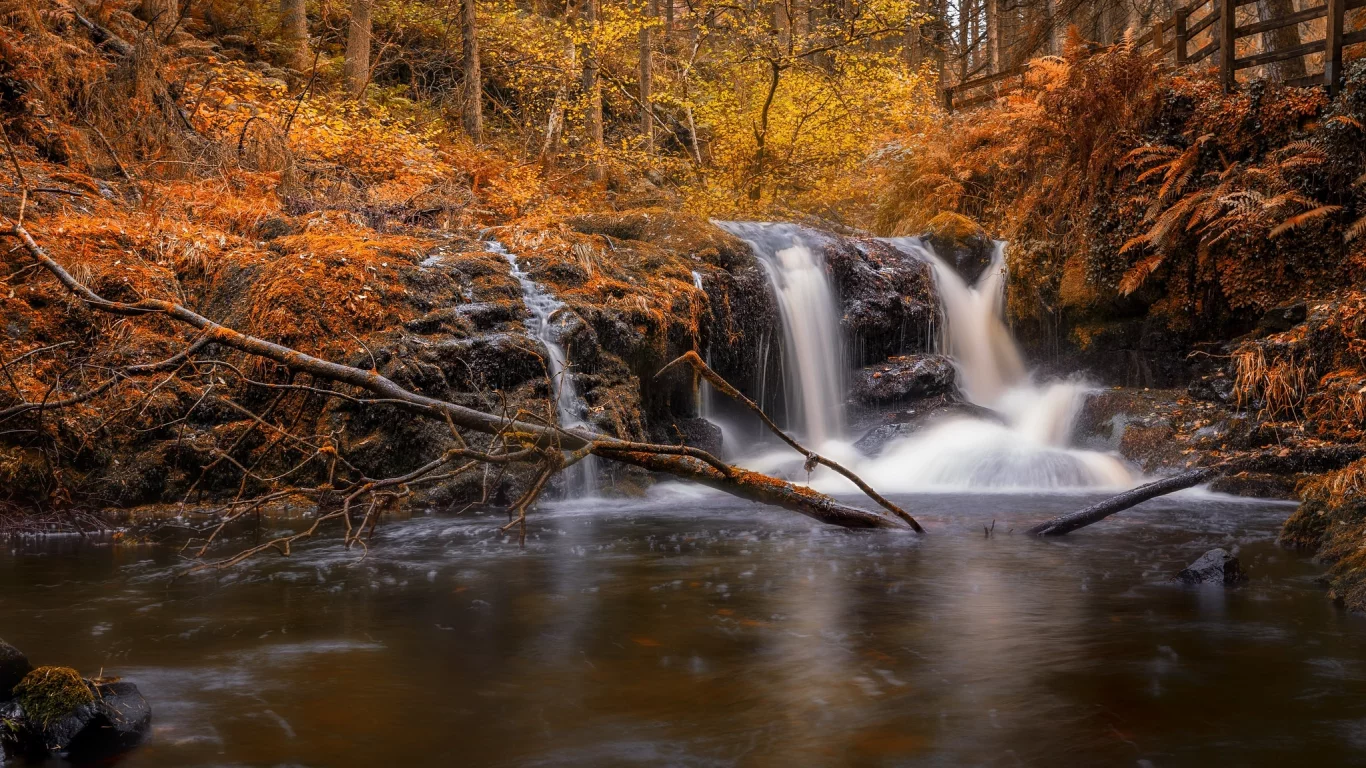 пейзаж, природа, красота
