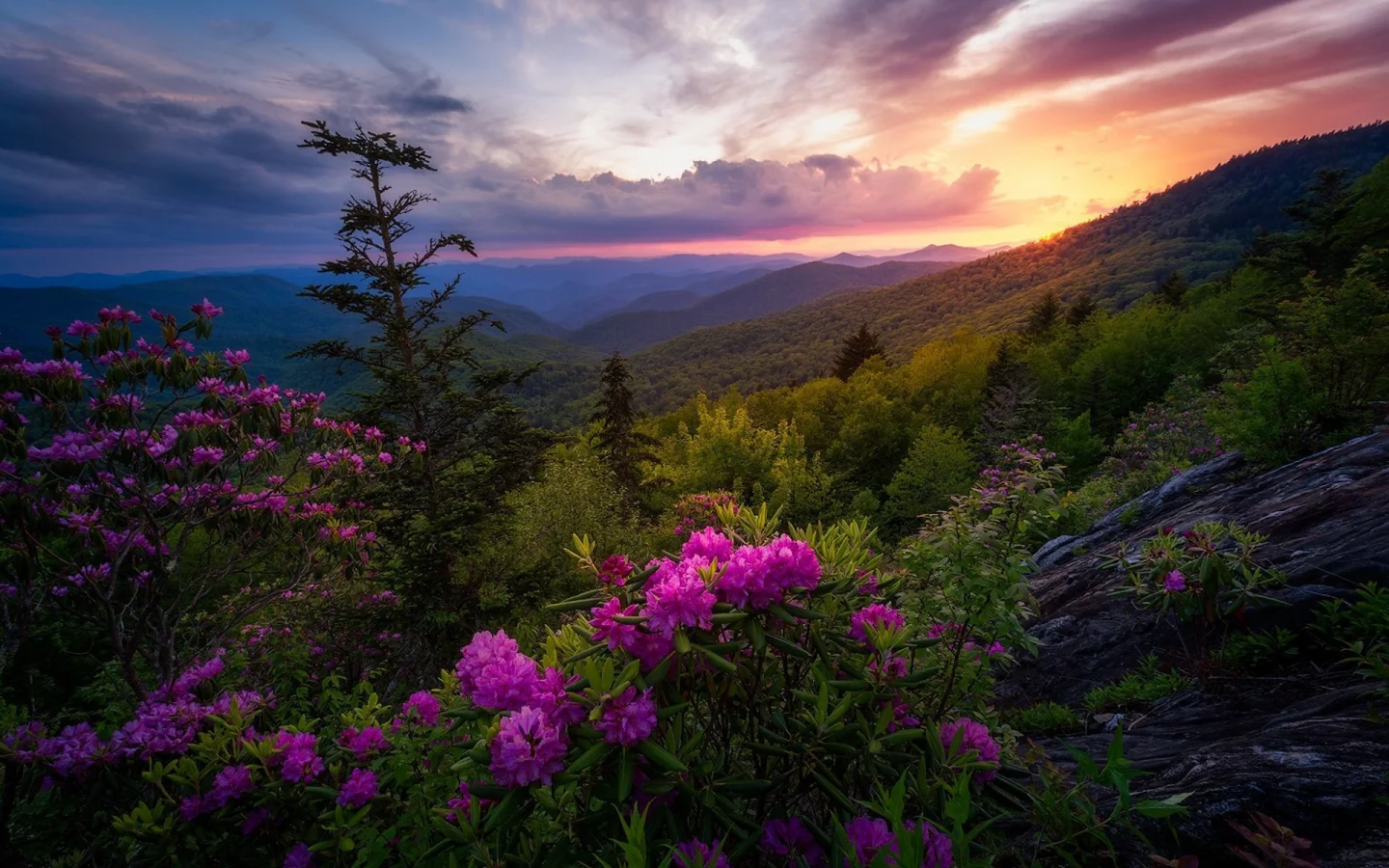 пейзаж, природа, красота