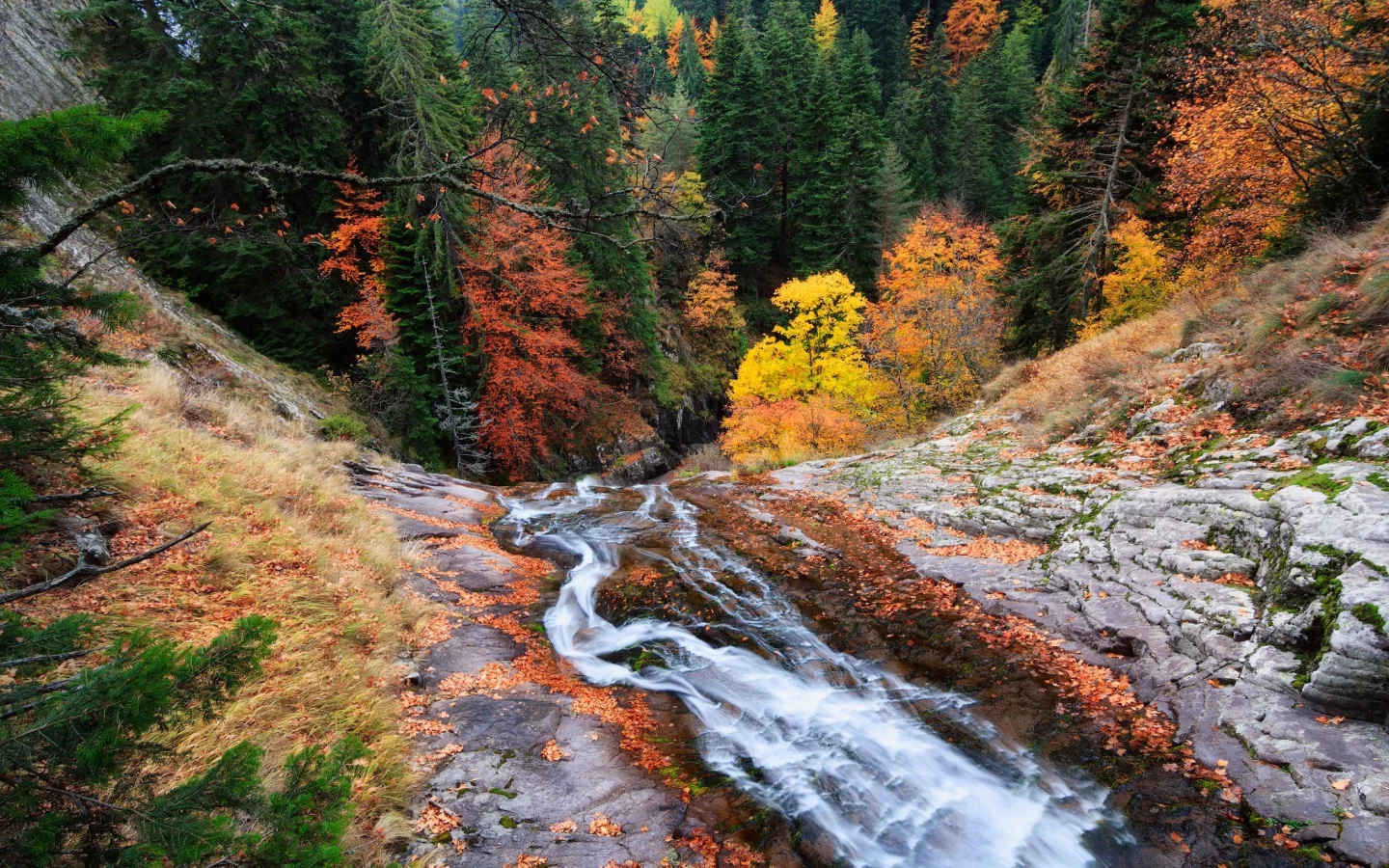 пейзаж, природа, красота