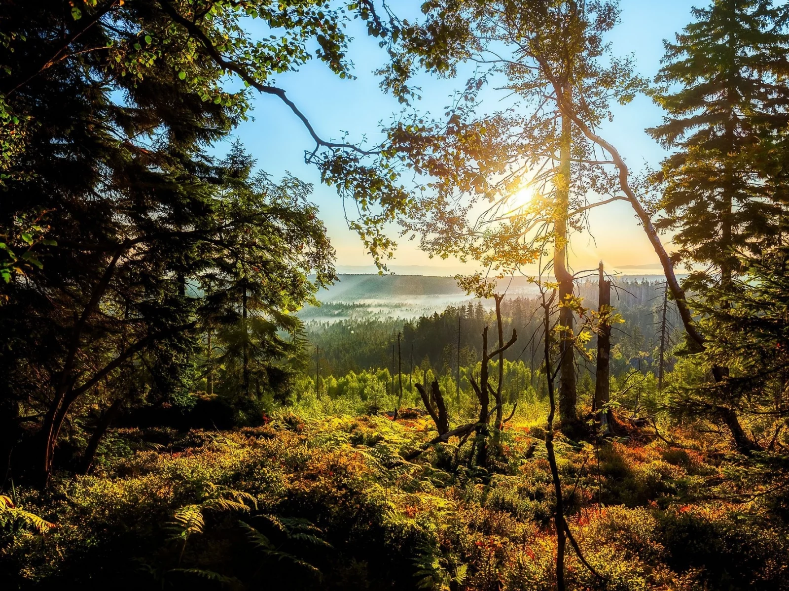 пейзаж, природа, красота