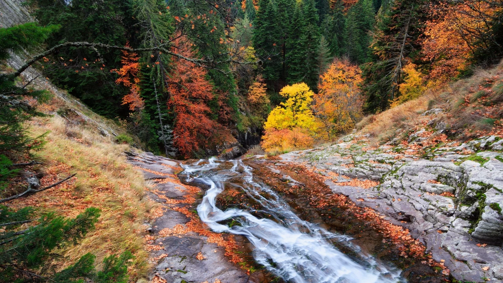 пейзаж, природа, красота