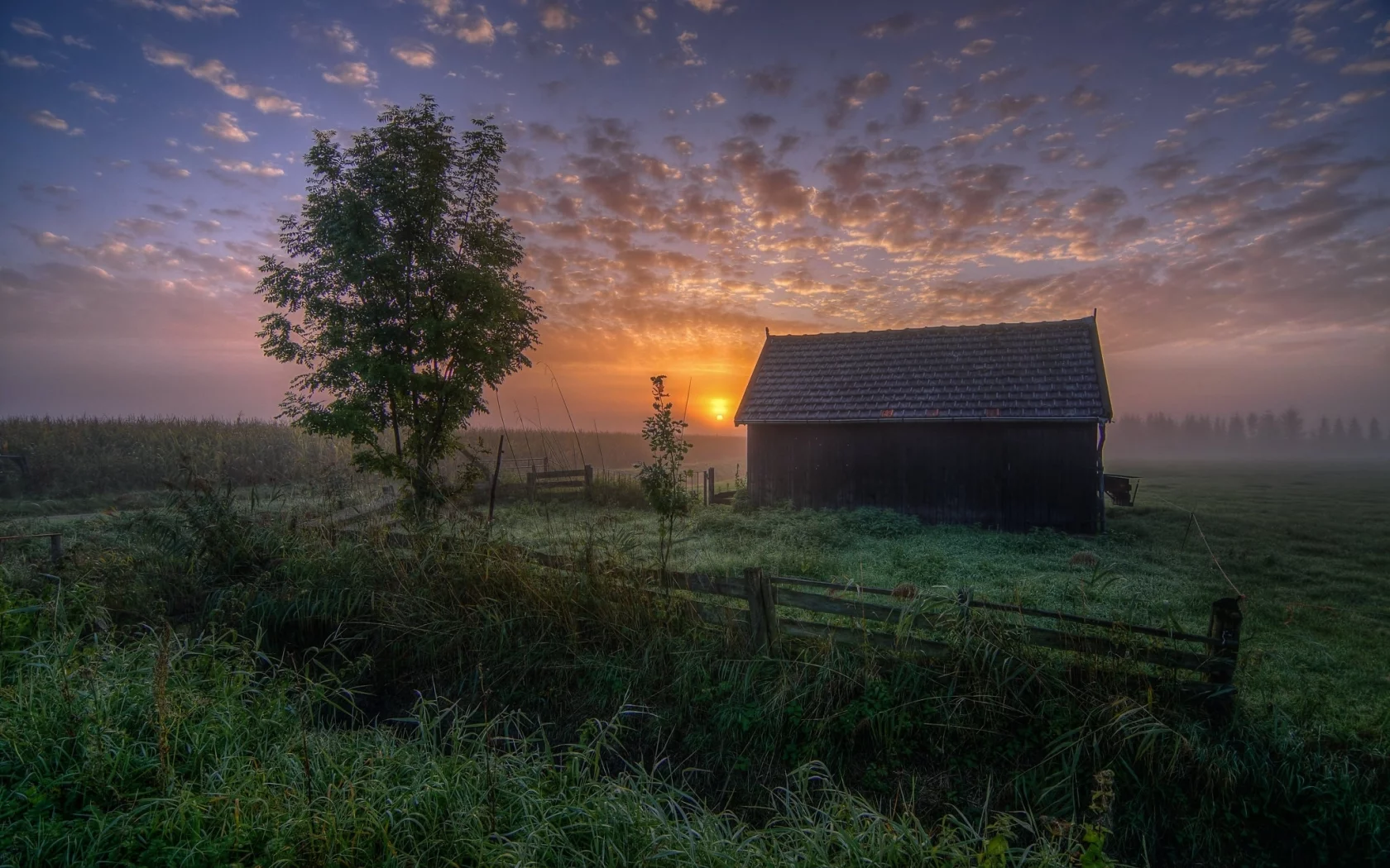 пейзаж, природа, красота