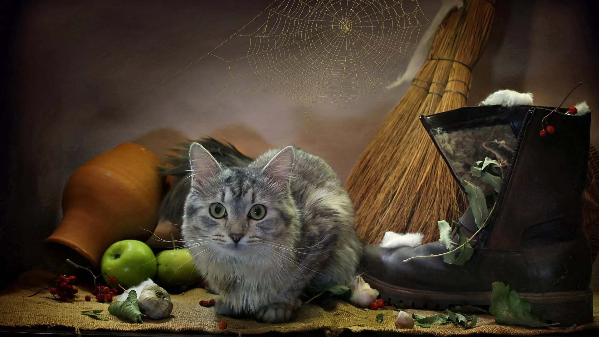 разное, кот, другое