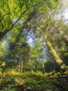 пейзаж, природа, красота