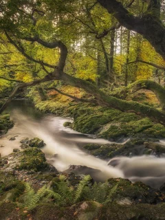 пейзаж, природа, красота
