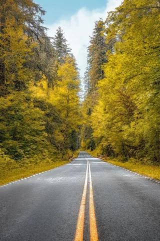 пейзаж, природа, красота