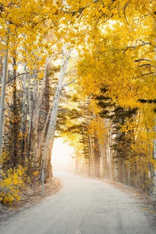 пейзаж, природа, красота