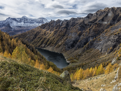 пейзаж, природа, красота