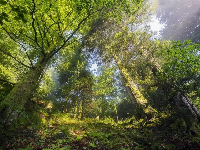 пейзаж, природа, красота