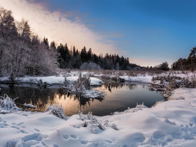 зима, снег, река