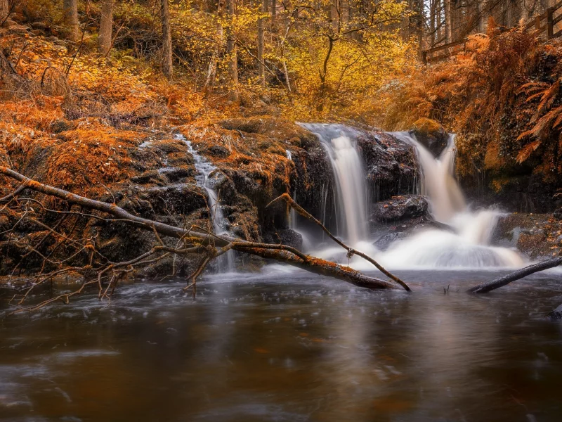 пейзаж, природа, красота
