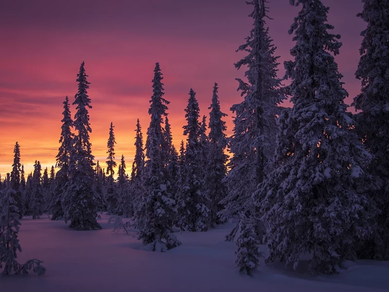 пейзаж, природа, красота