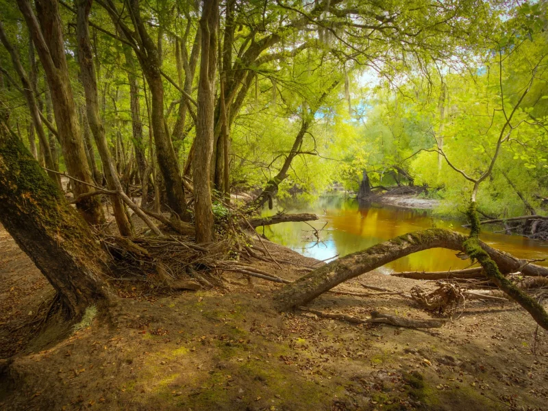 пейзаж, природа, красота