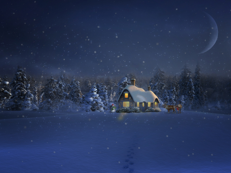домик, ночь, снег