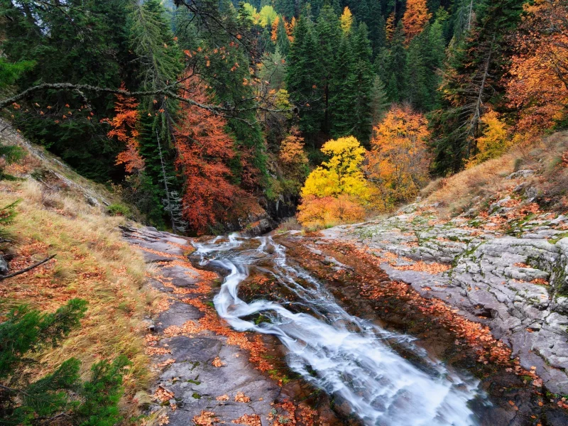 пейзаж, природа, красота