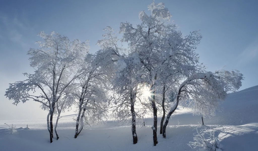пейзаж, природа, красота