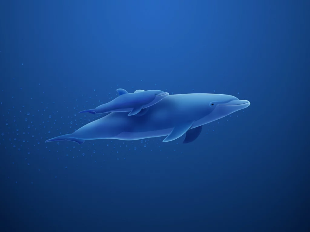 дельфины, в море