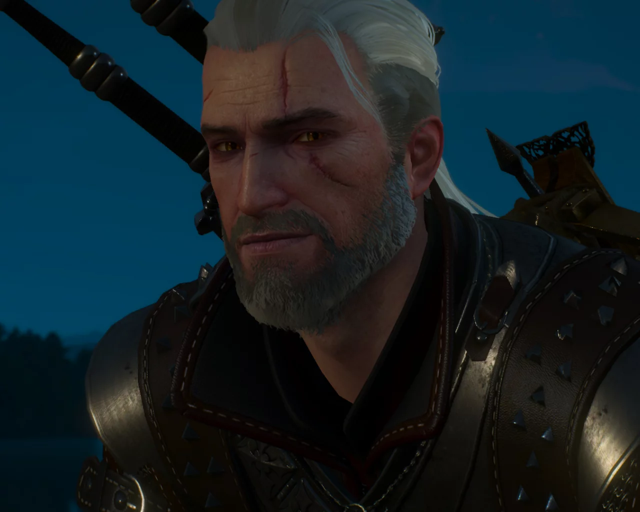 ведьмак, witcher