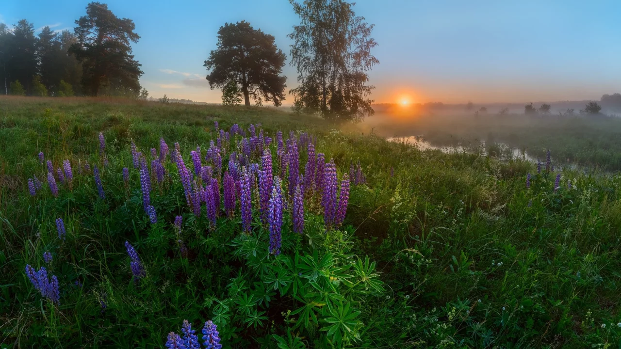 пейзаж, природа, красота