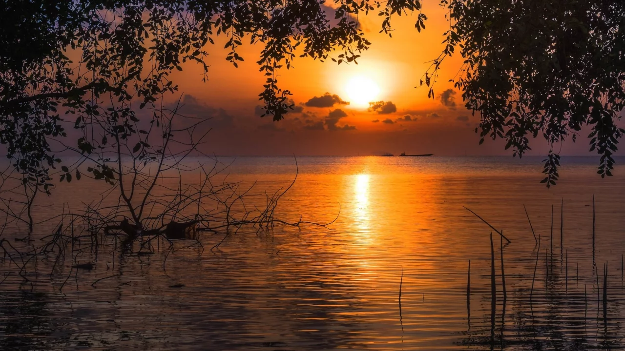 пейзаж, природа, красота