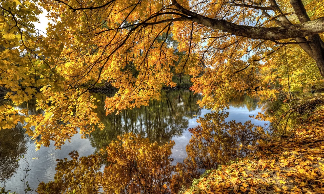 пейзаж, природа, красота
