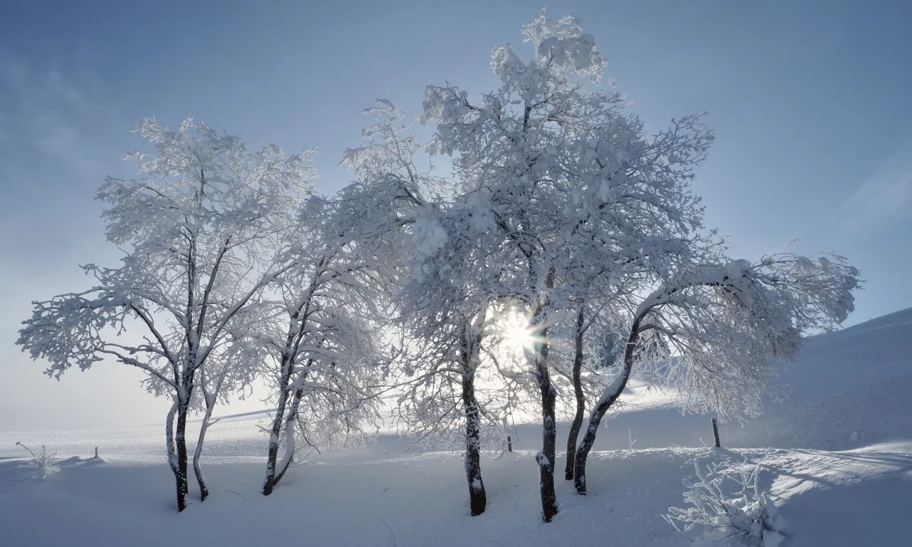 пейзаж, природа, красота