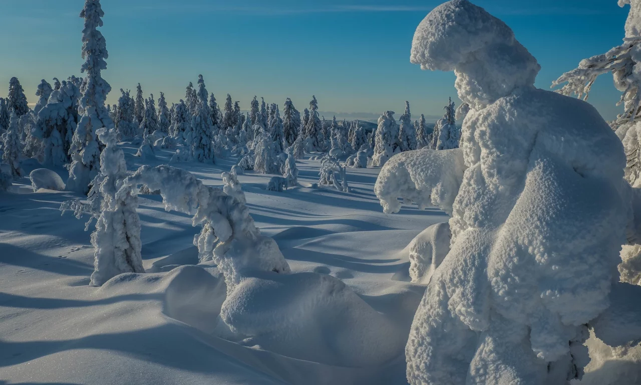 пейзаж, природа, красота