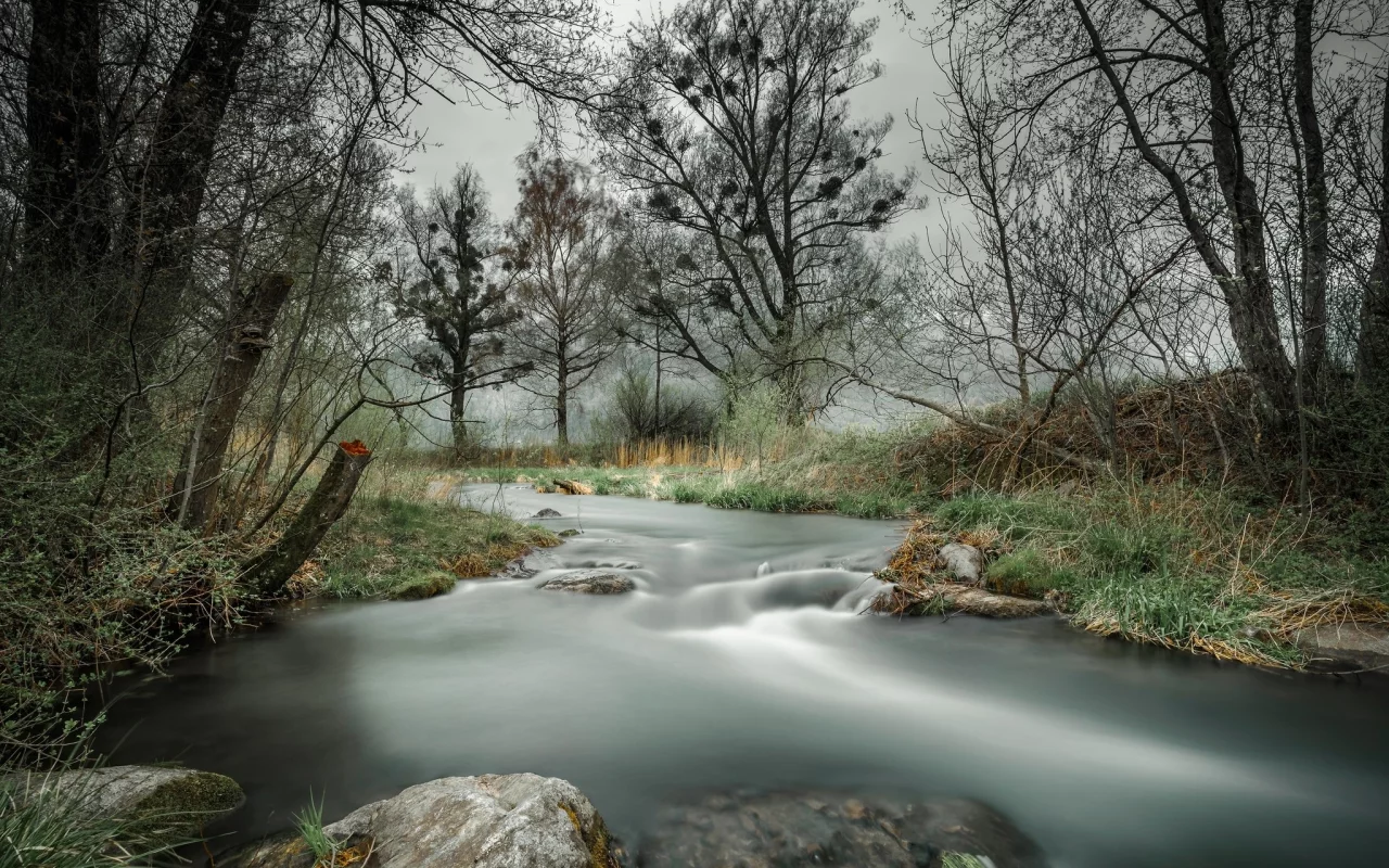 пейзаж, природа, красота