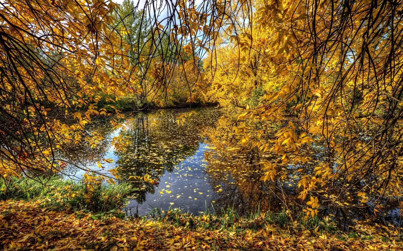 пейзаж, природа, красота