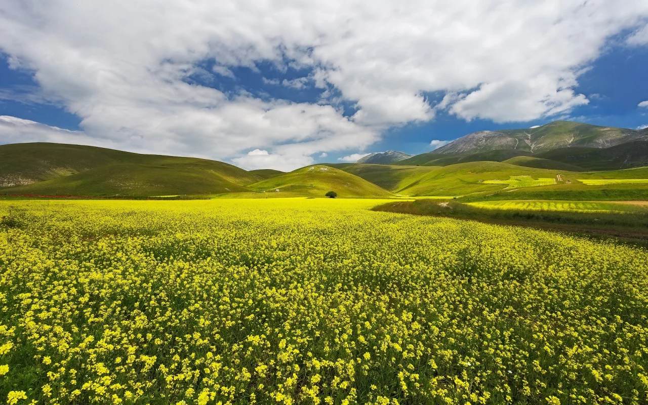 пейзаж, природа, красота