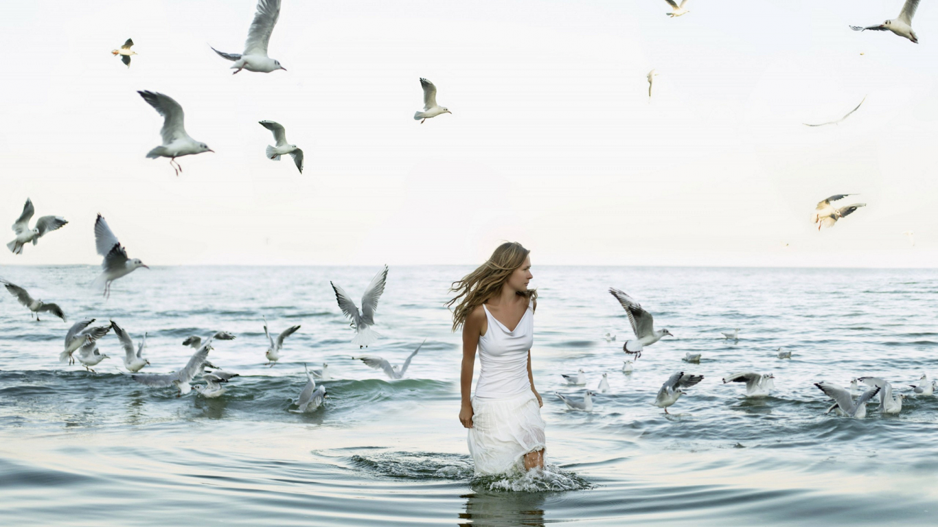 девушка, красивая, стоит в море, чайки