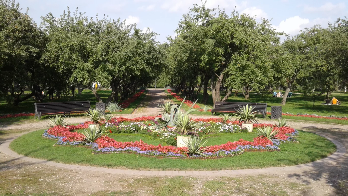 клумба, парк