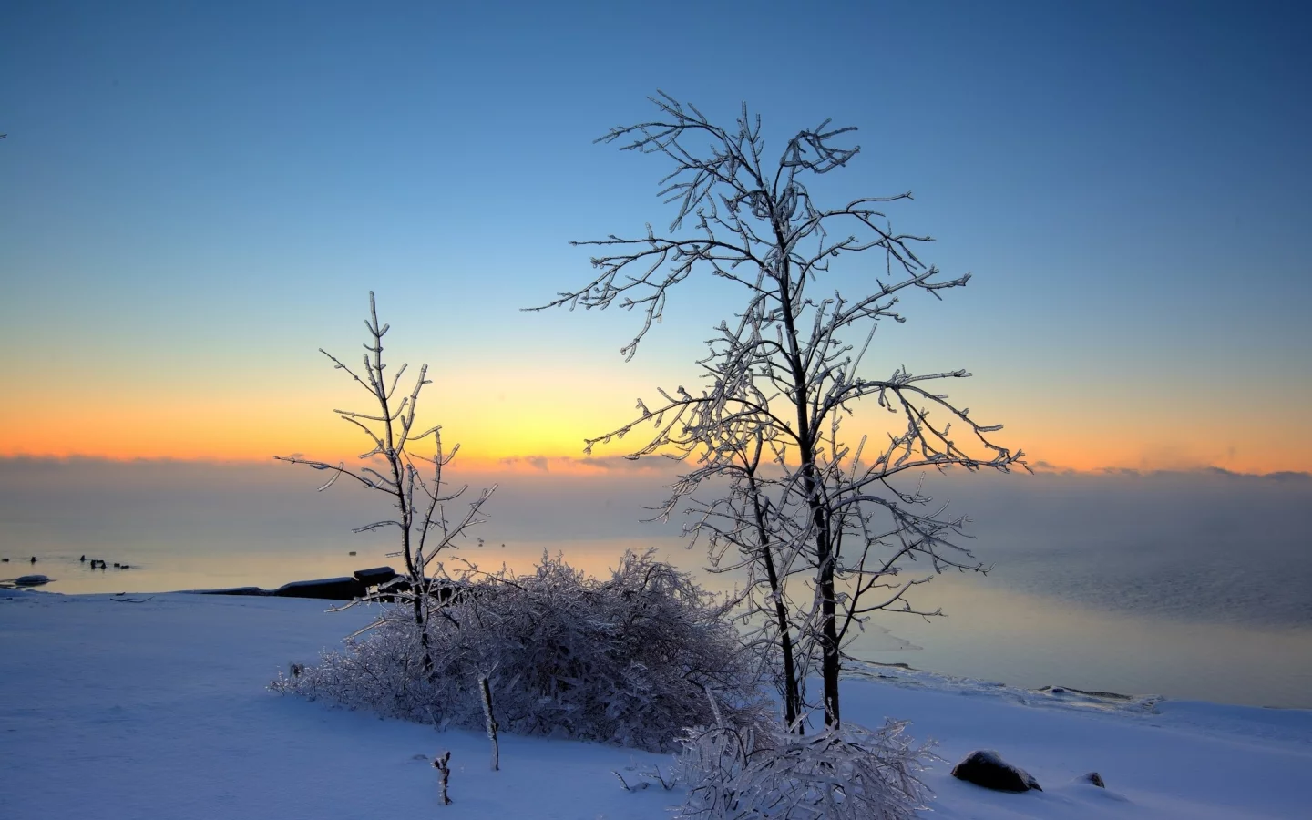 пейзаж, природа, красота