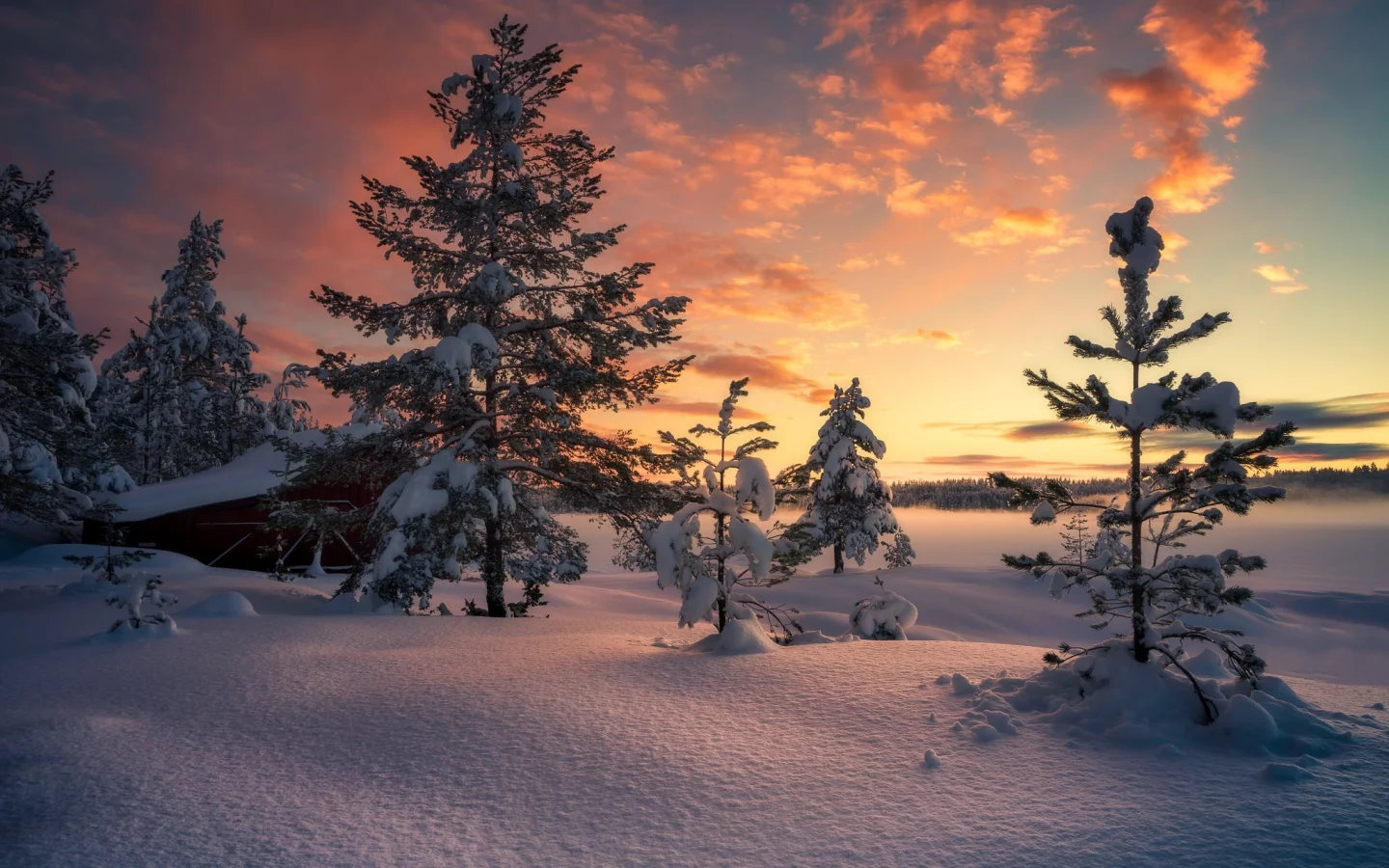 пейзаж, природа, красота