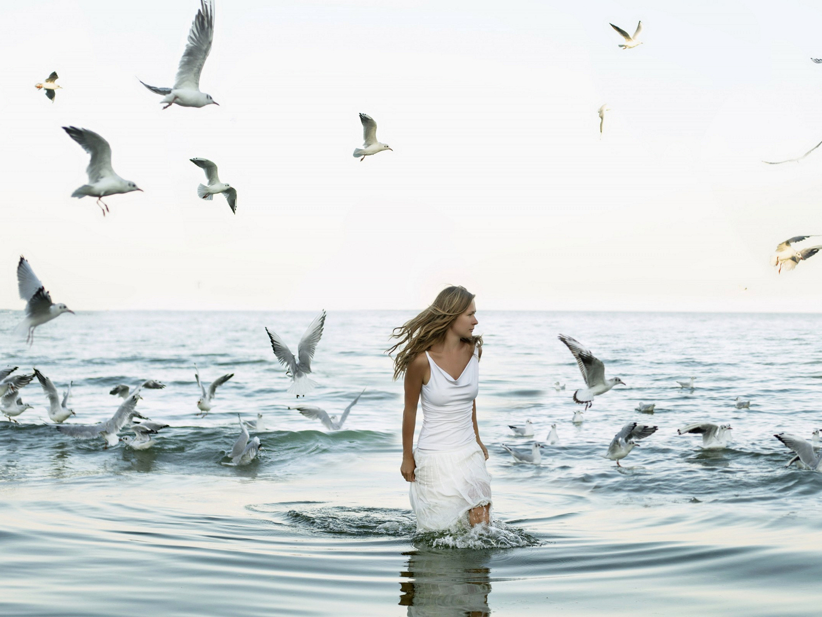 девушка, красивая, стоит в море, чайки