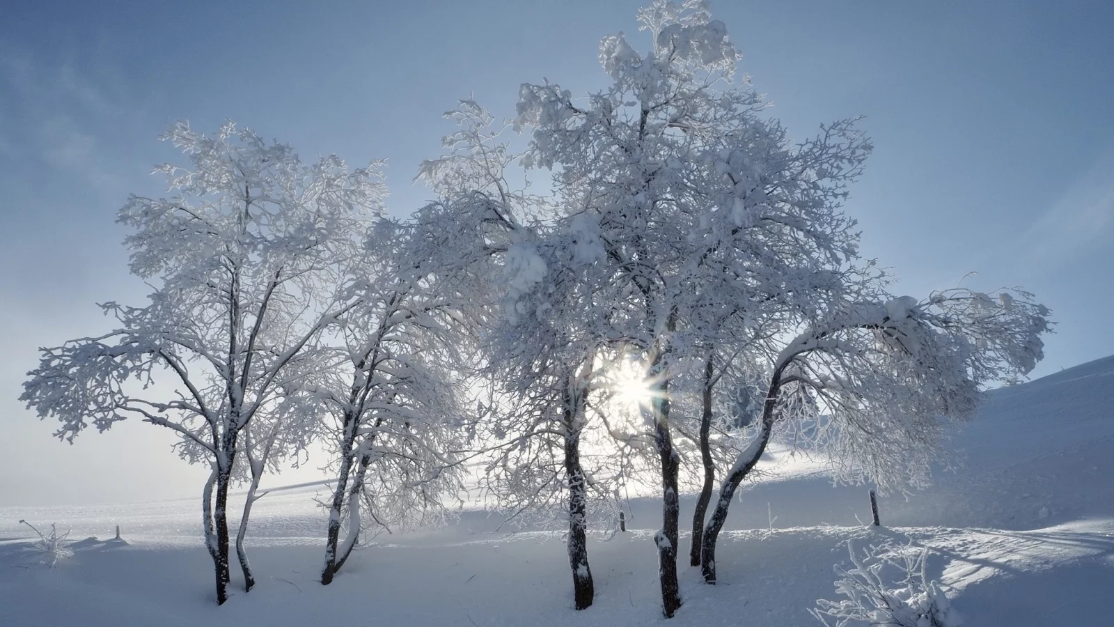 пейзаж, природа, красота