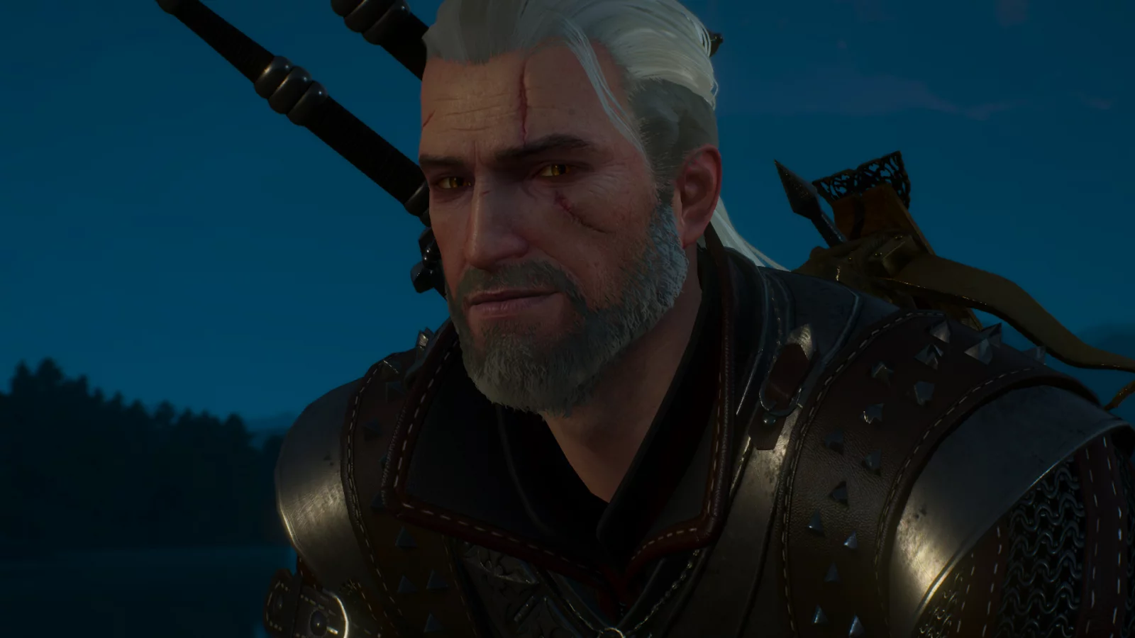 ведьмак, witcher