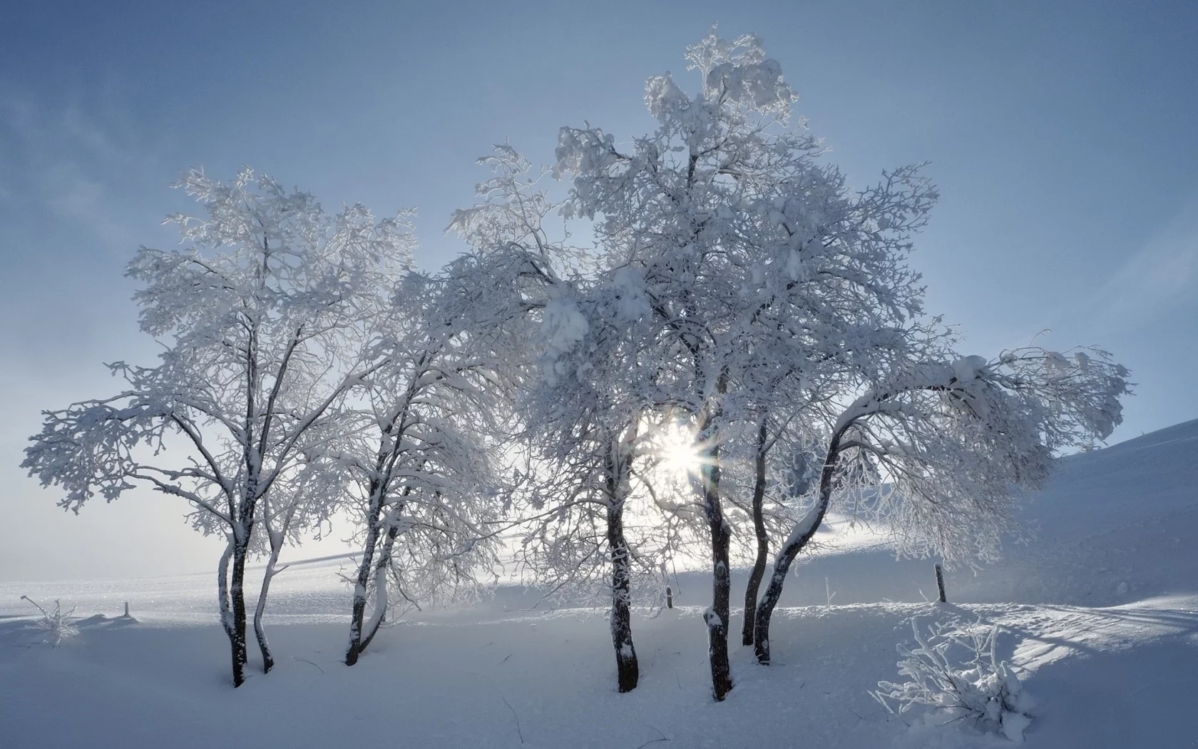пейзаж, природа, красота
