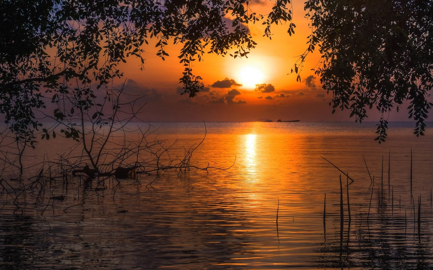 пейзаж, природа, красота