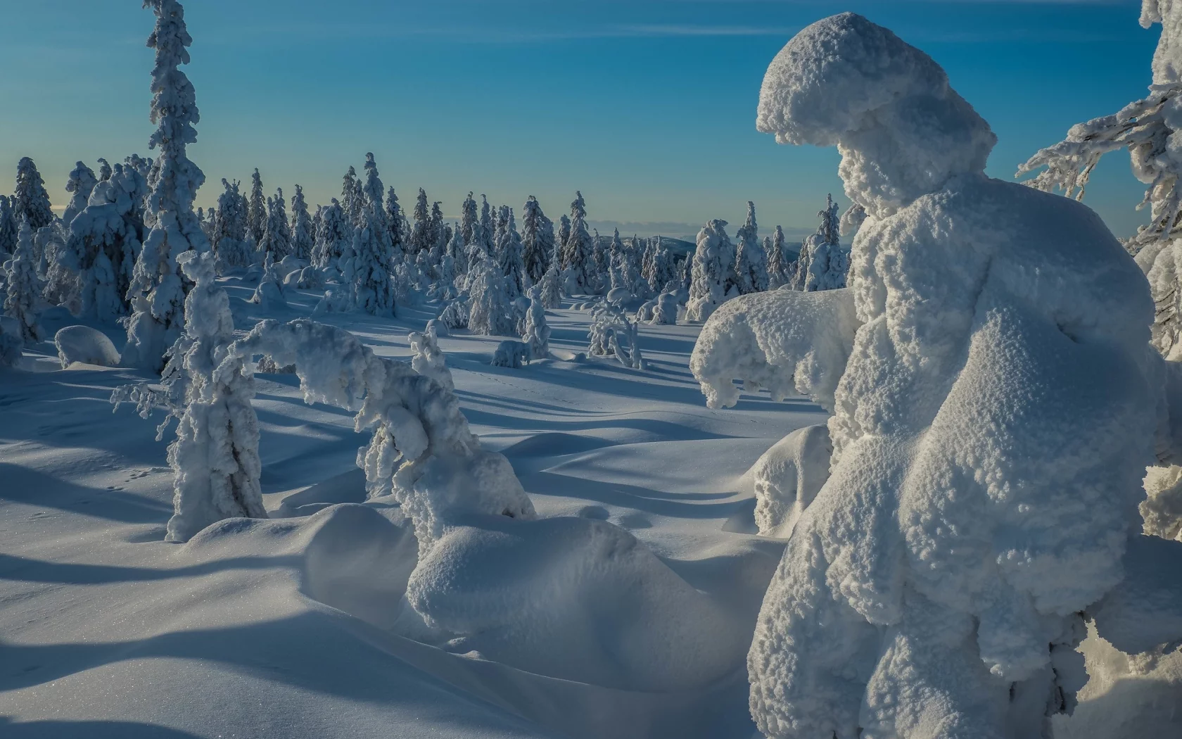 пейзаж, природа, красота