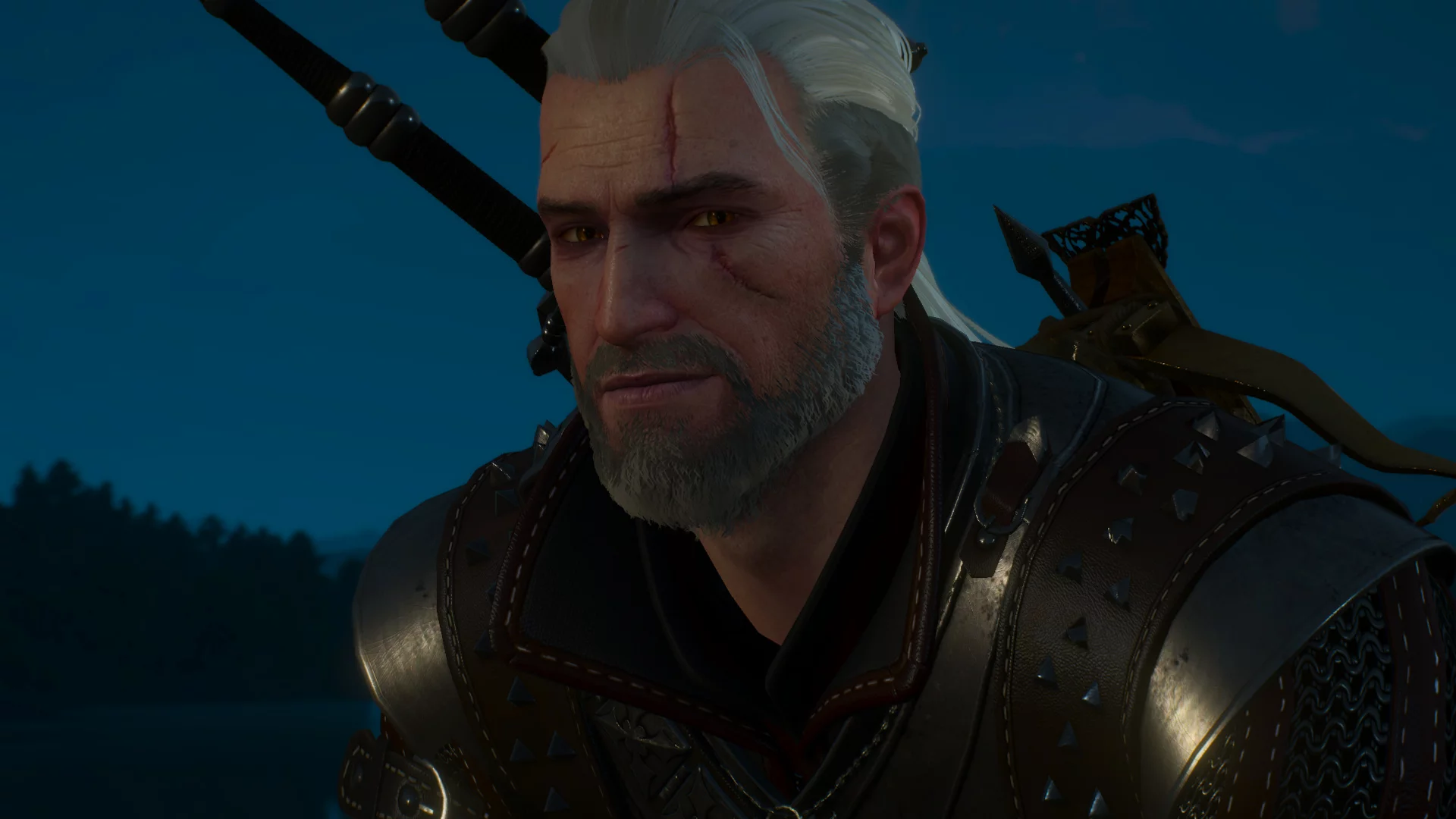 ведьмак, witcher