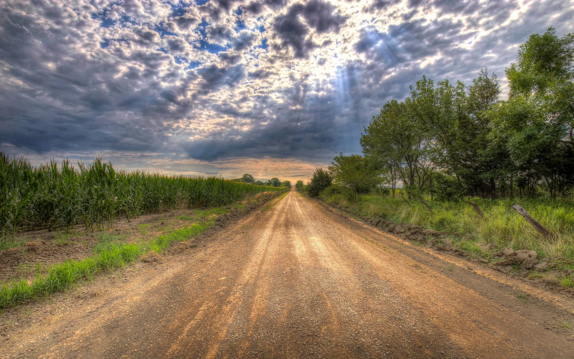 пейзаж, природа, красота