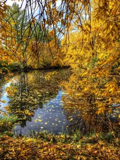 пейзаж, природа, красота