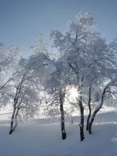 пейзаж, природа, красота