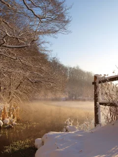 пейзаж, природа, красота